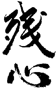 zanshin Japanese Judo Technique Terms 